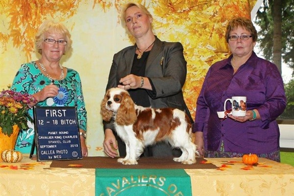 1st Place 12-18 Month Bitch, Legacy Sumpin To Talk About, Owners Dawn Stevens-Lindemaier, Kathleen C. Everaert.jpg
